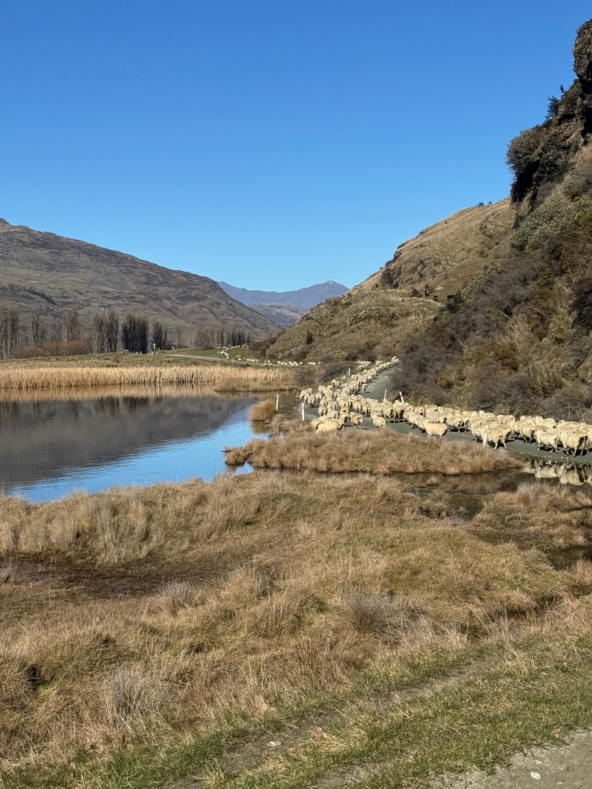 Lush green valley with river winding through