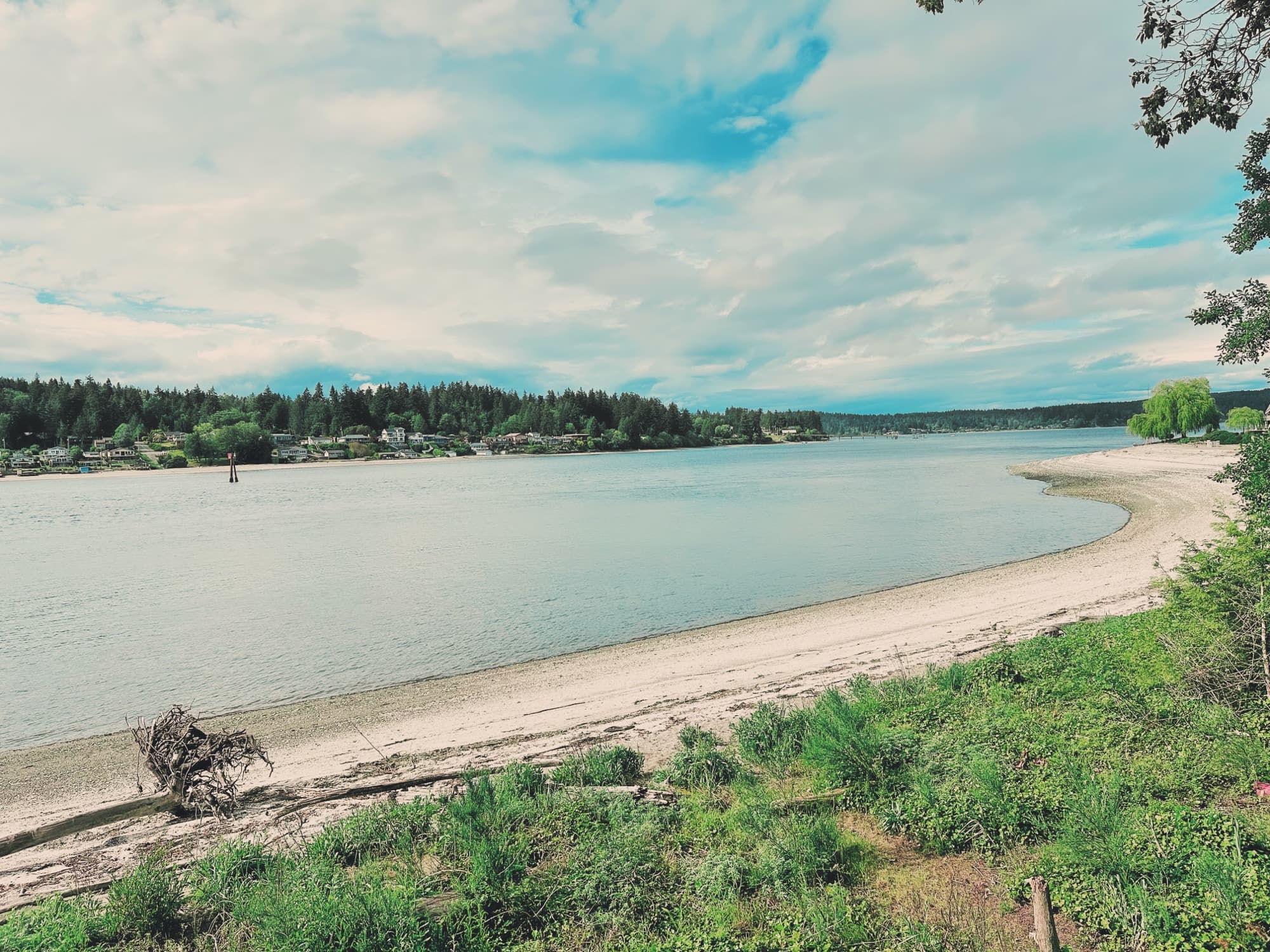 Volcanic beach along the Azorean coastline