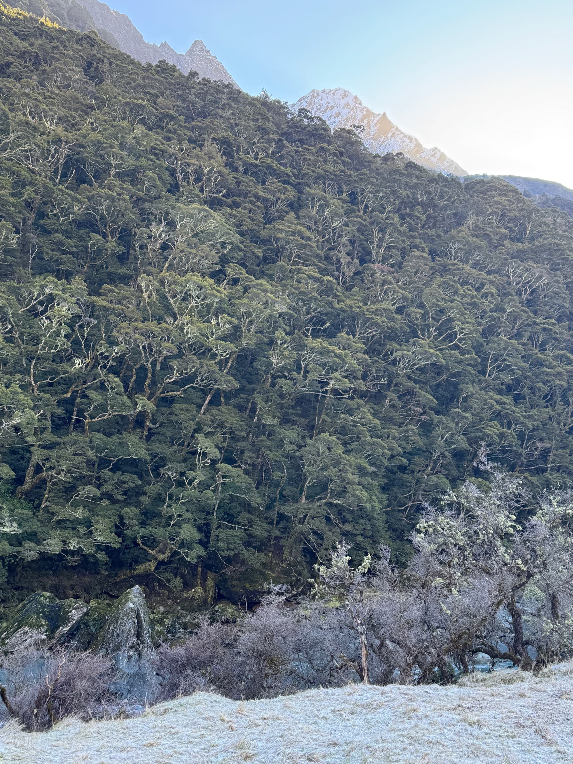 Granite peaks of southern Patagonia