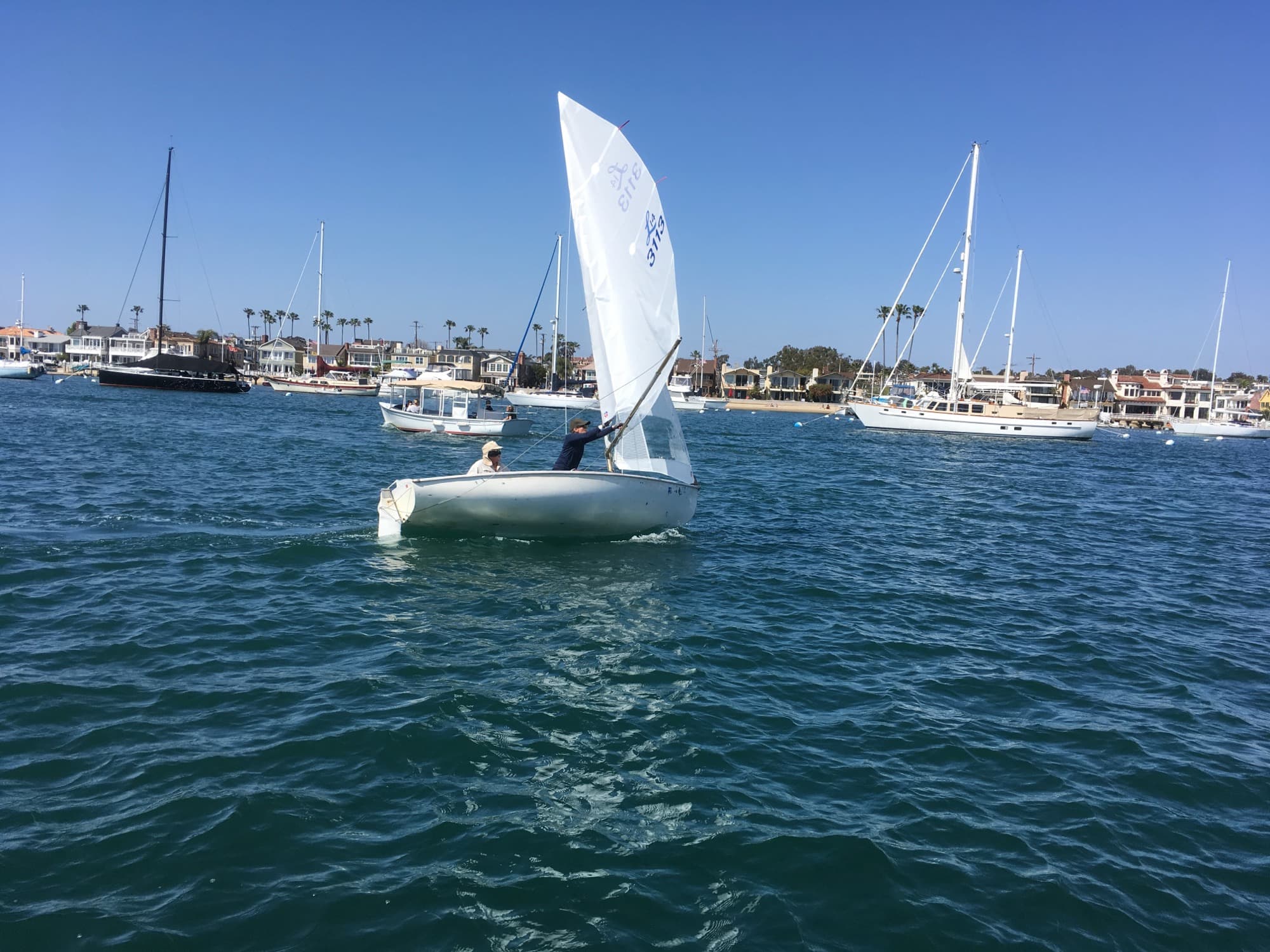Palm-lined shore on a remote Marquesan beach