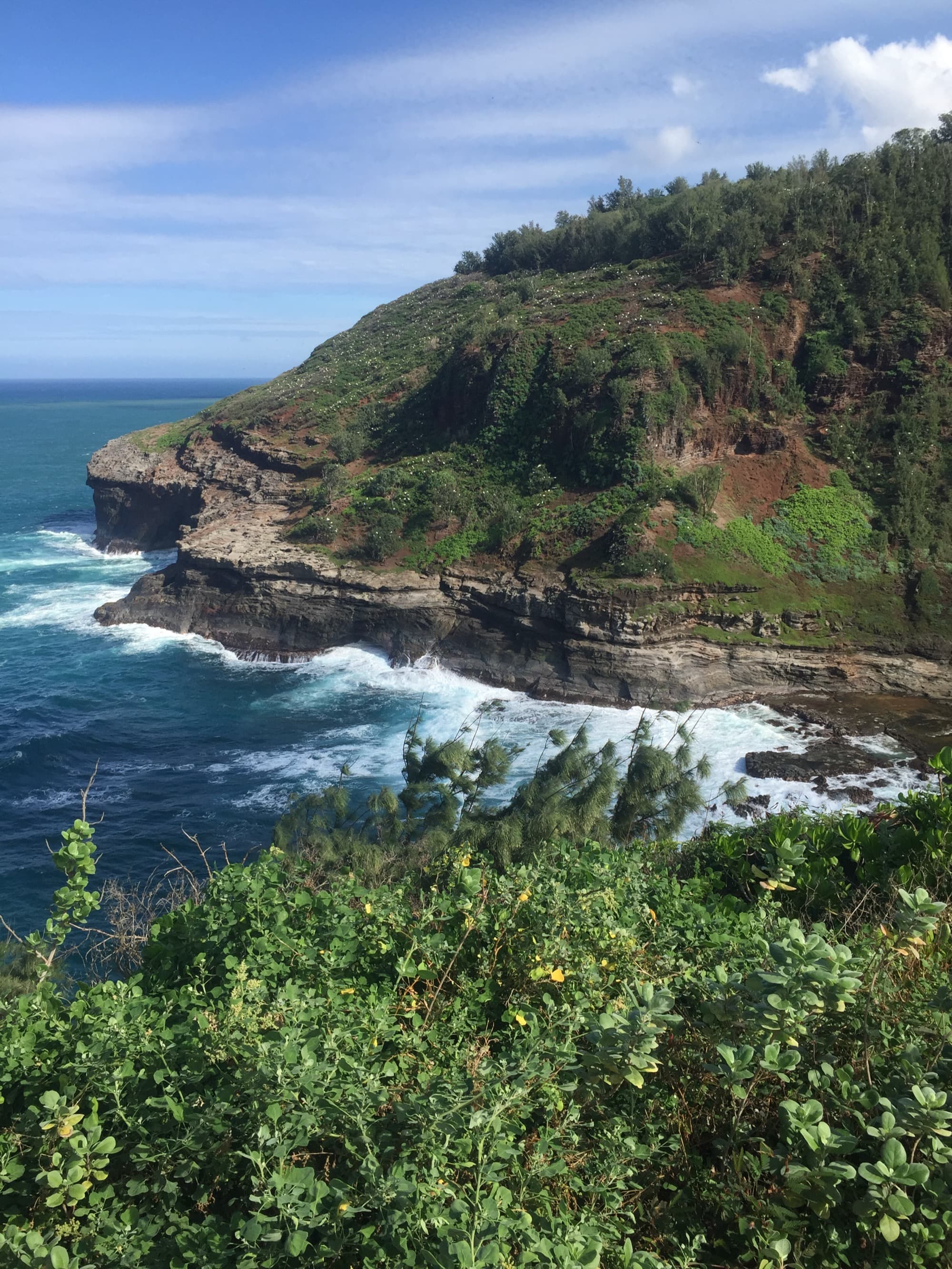 Sheltered tropical bay with sailing anchorage